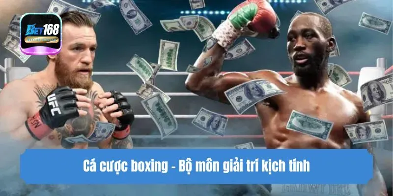 Cá cược boxing - Bộ môn giải trí kịch tính