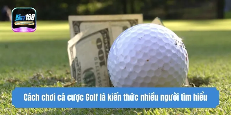 Cách chơi cá cược Golf là kiến thức nhiều người tìm hiểu