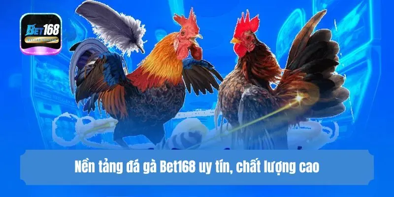 Nền tảng đá gà Bet168 uy tín, chất lượng cao