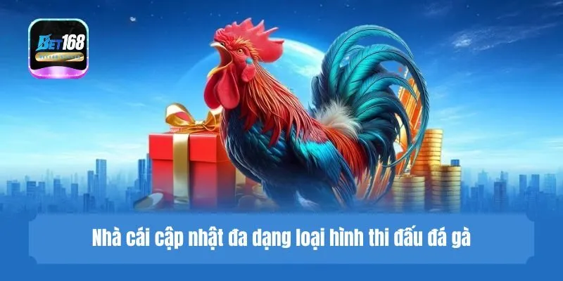 Nhà cái cập nhật đa dạng loại hình thi đấu đá gà