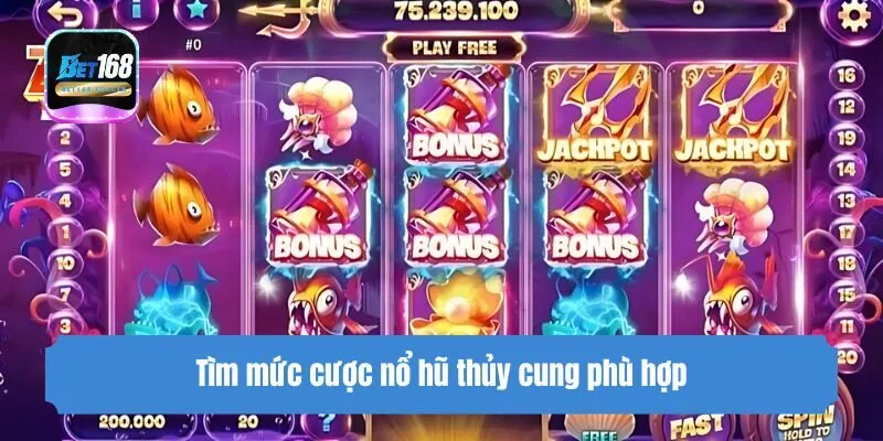Tìm mức cược nổ hũ thủy cung phù hợp