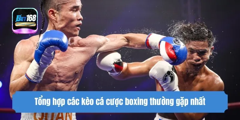 Tổng hợp các kèo cá cược boxing thường gặp nhất